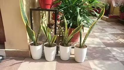 ( Pack Of 4 ) Plastic White Tower Pot Beautiful Design 8.5 Inches