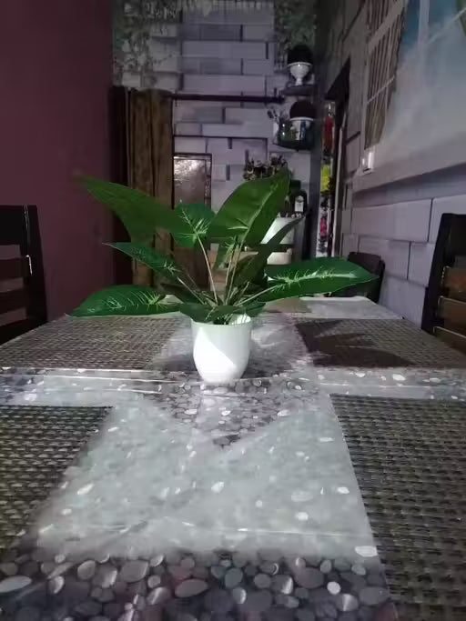 Real Touch Plant with 12 Leaves Heads Artificial Plant with Pot