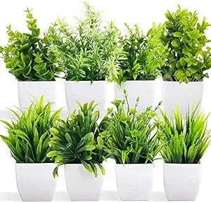 ( Pack of 8 ) Artificial Plant For Home Decor or Office Décor Also Plant Suitable For Table