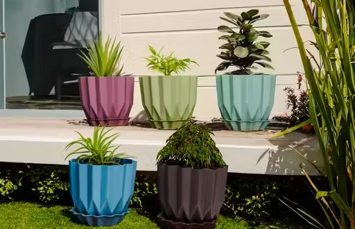Set of 5 | Flower Pots for Home Decoration, Indoor Plant Pots