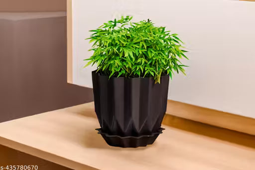Set of 5 | Flower Pots for Home Decoration, Indoor Plant Pots