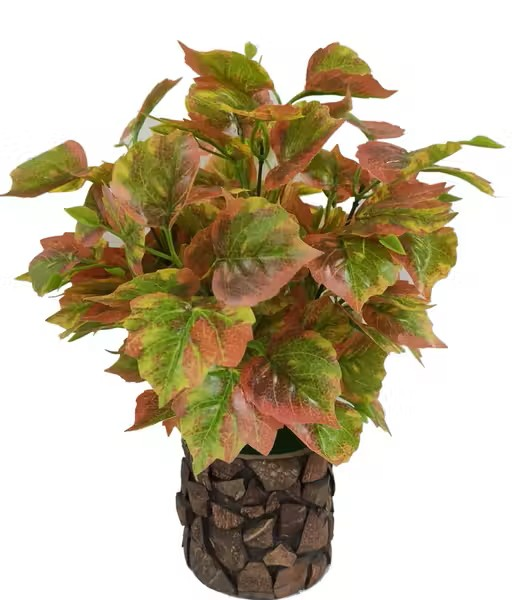 Natural Looking Money Plant Bonsai Artificial Plant with Stylish Coconut Pot (34 cm, Orange)